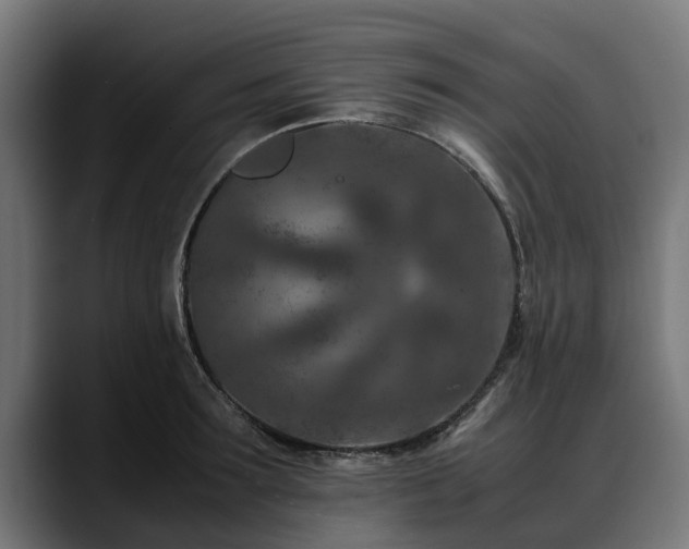 X0000088460899200705291528