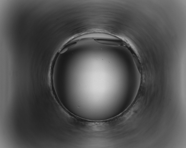 X0000088460902200705291528