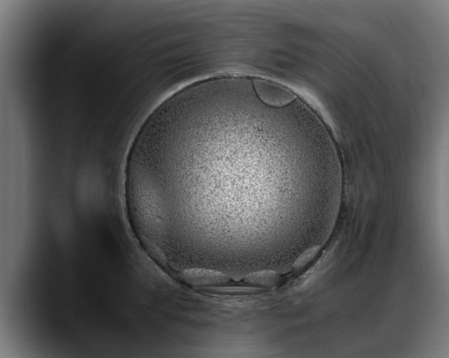 X0000088460903200705291528