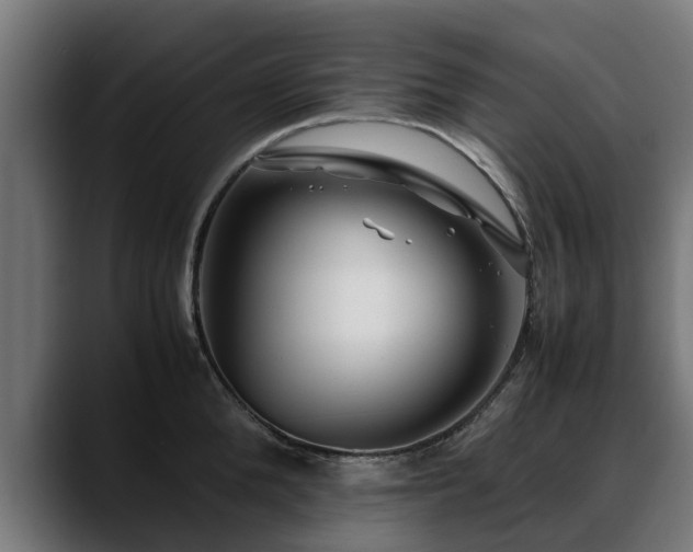 X0000088460904200705291528