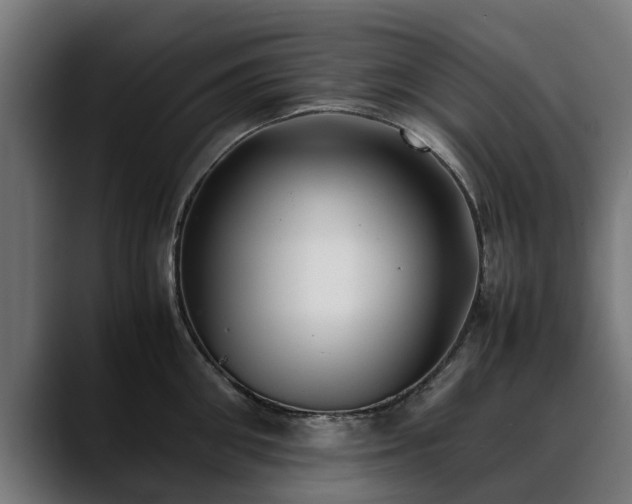 X0000088460906200705291528