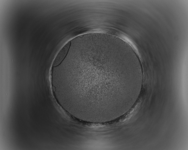 X0000088460907200705291528