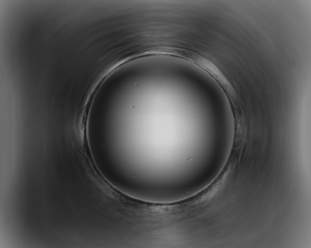 X0000088460908200705291528