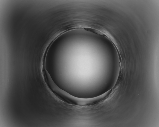 X0000088460909200705291528