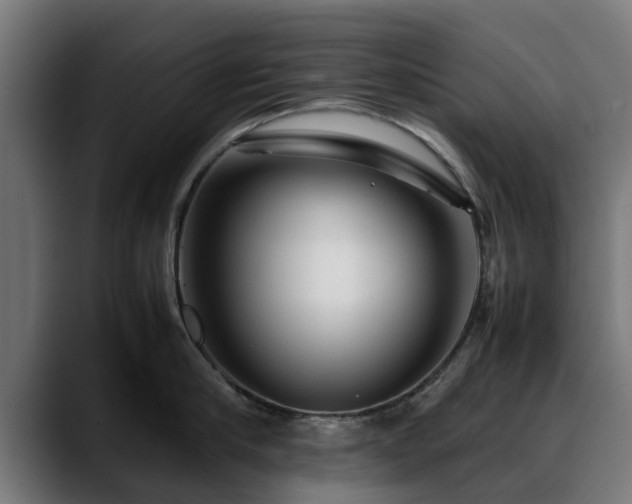 X0000088460910200705291528