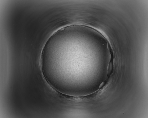 X0000088460911200705291528