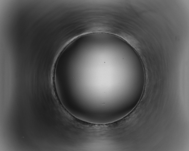 X0000088460912200705291528