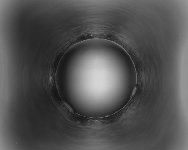 X0000088460914200705291528