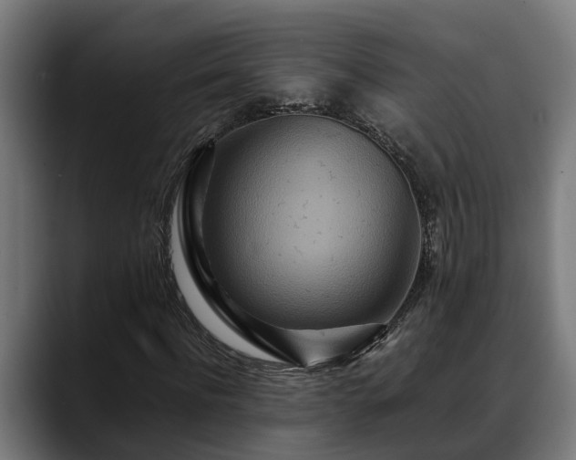 X0000088460916200705291528