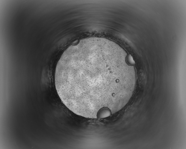 X0000088460918200705291528