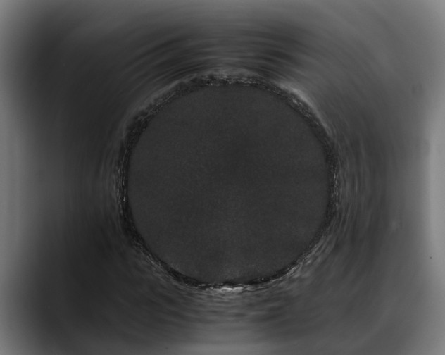 X0000088460919200705291528