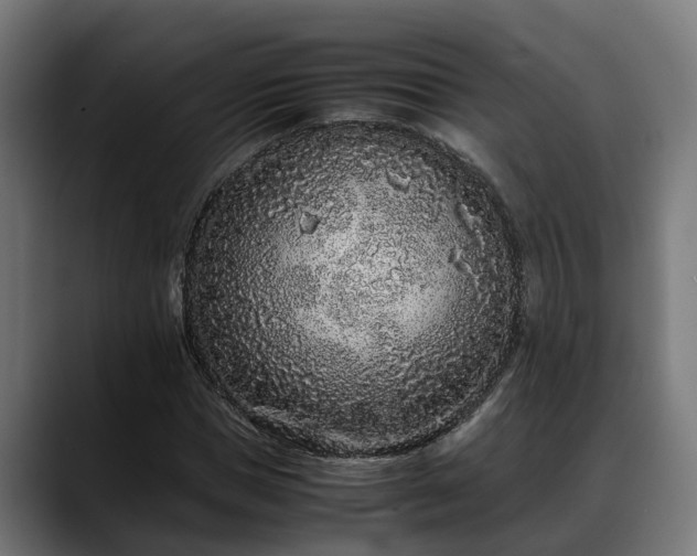 X0000088460921200705291528