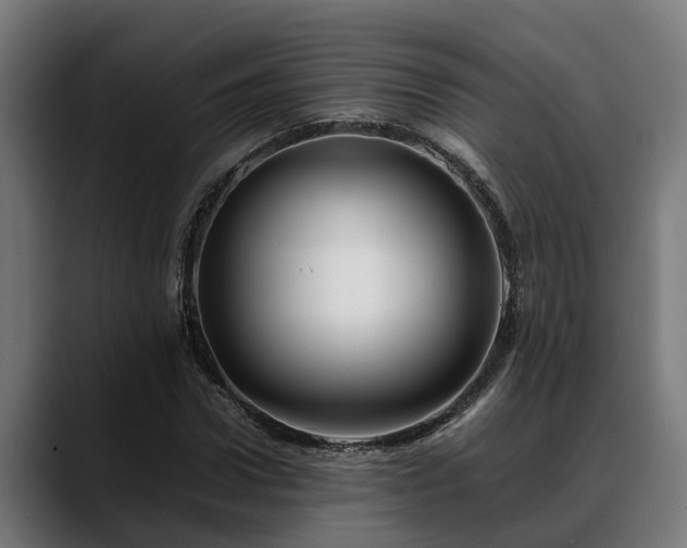 X0000088460922200705291528