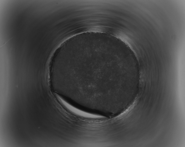 X0000088460923200705291528