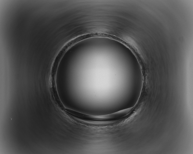 X0000088460924200705291528