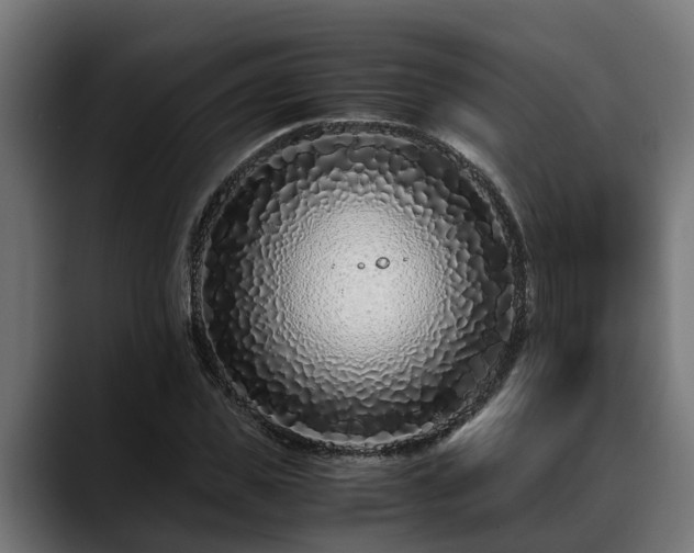 X0000088460925200705291528