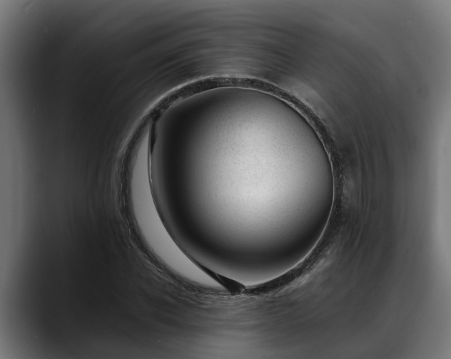 X0000088460926200705291528