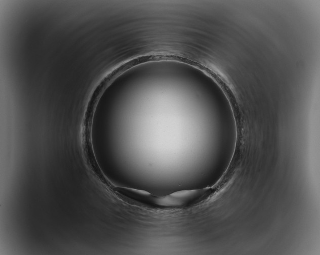 X0000088460928200705291528