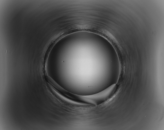 X0000088460930200705291528