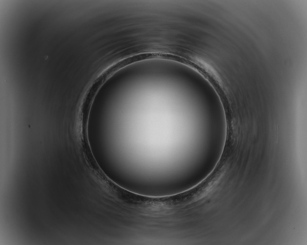 X0000088460931200705291528