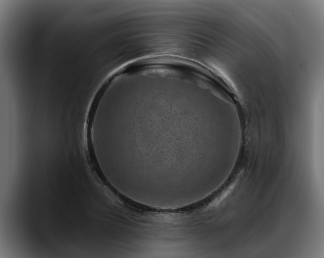 X0000088460932200705291528