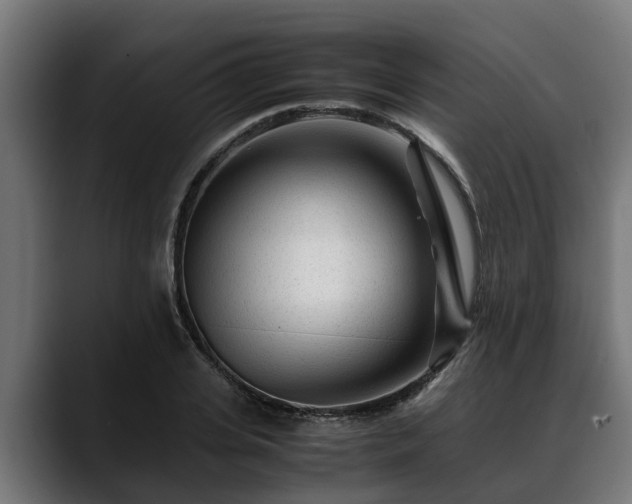 X0000088460935200705291528