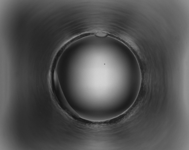 X0000088460936200705291528