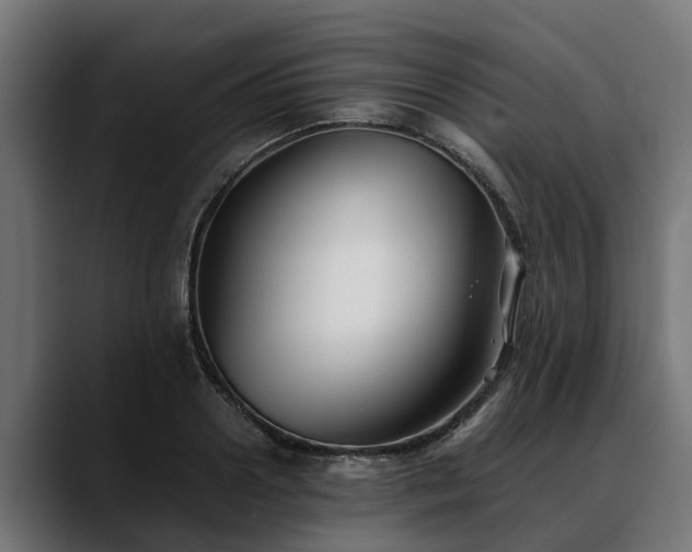 X0000088460938200705291528