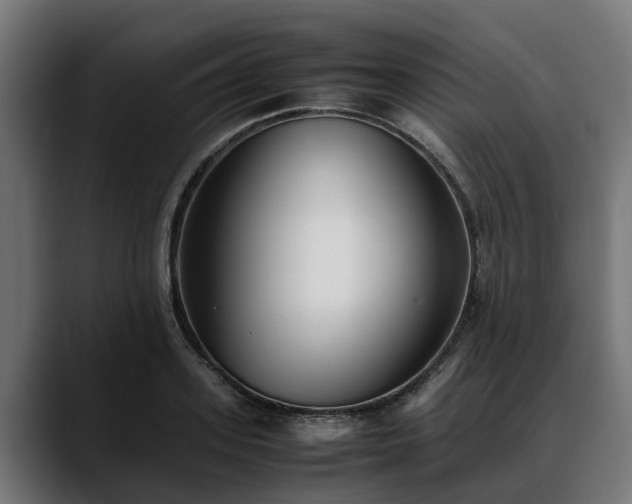 X0000088460939200705291528