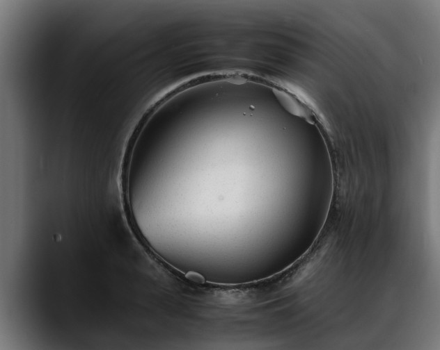 X0000088460943200705291528