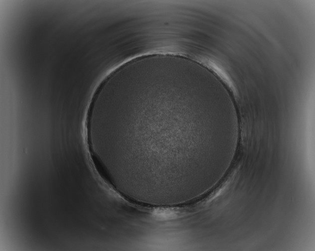 X0000088460944200705291528