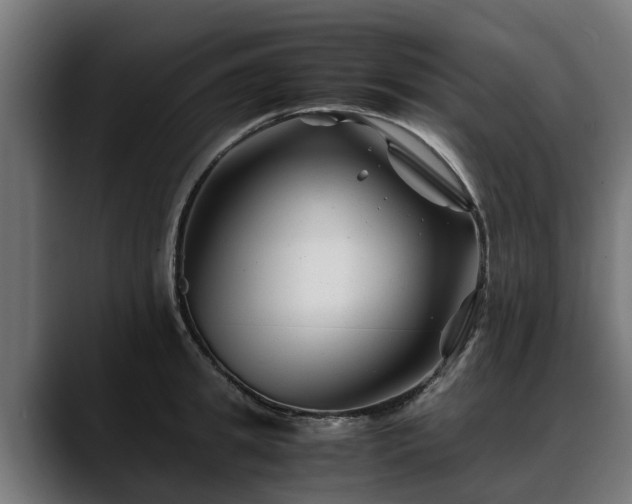 X0000088460949200705291528