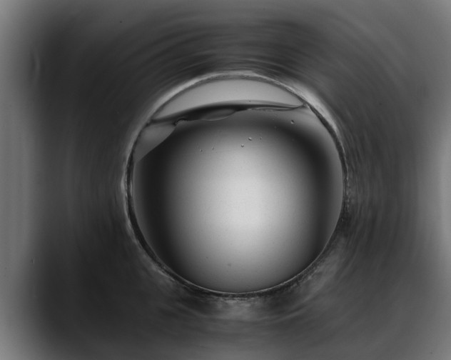 X0000088460951200705291528