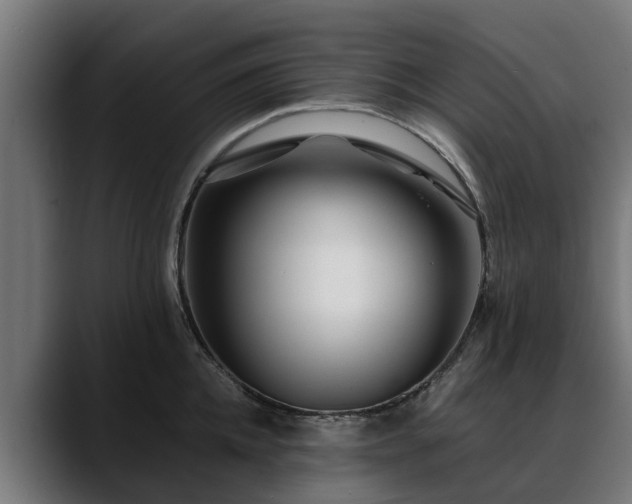 X0000088460952200705291528