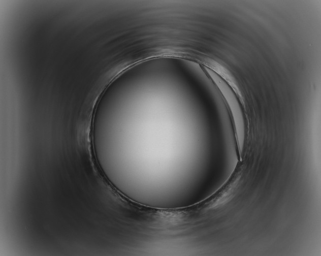 X0000088460954200705291528