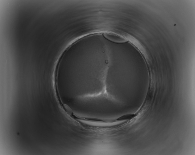 X0000088460958200705291528