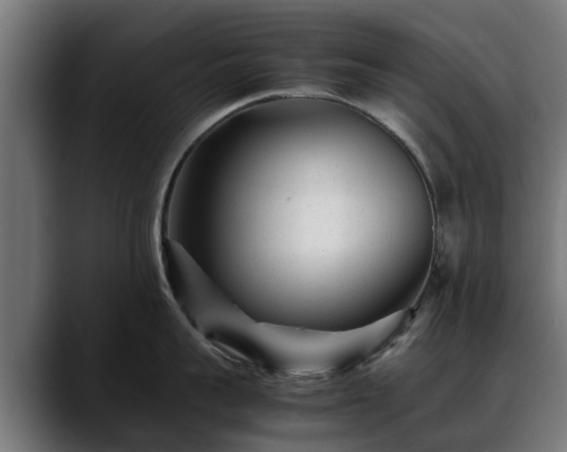 X0000088460959200705291528