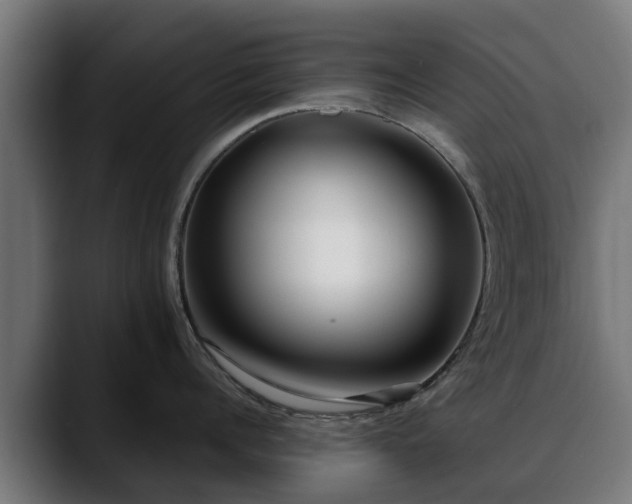 X0000088460960200705291528