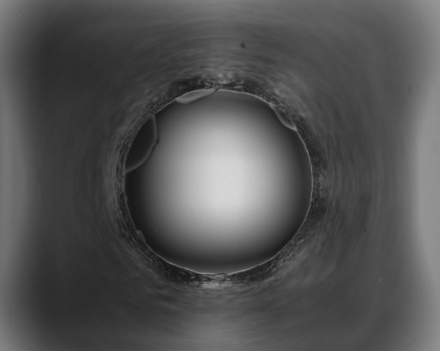 X0000088460961200705291527