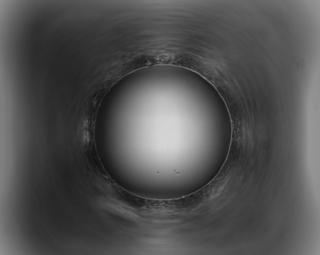 X0000088460962200705291527