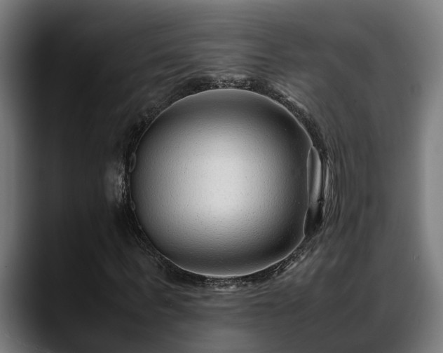 X0000088460963200705291527