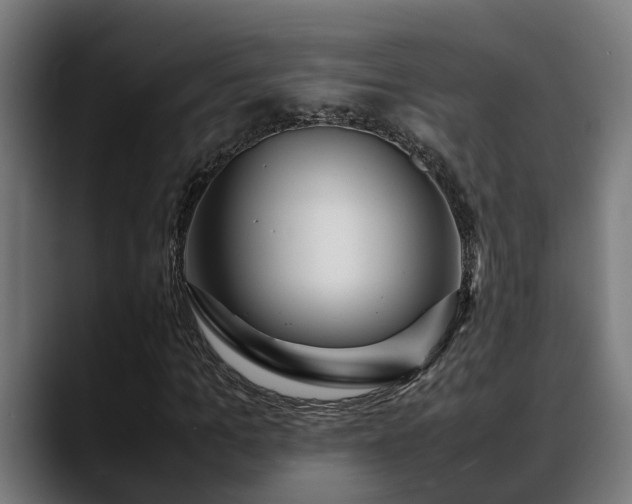 X0000088460965200705291527