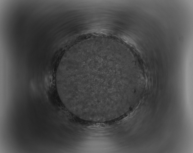 X0000088460966200705291527