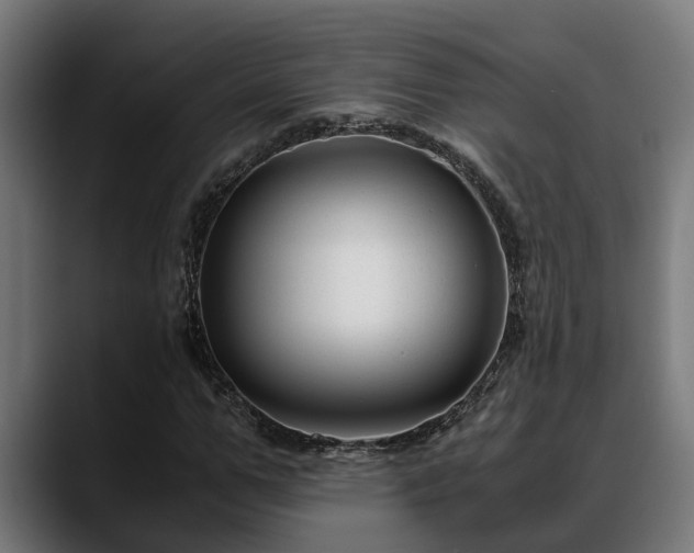 X0000088460967200705291527