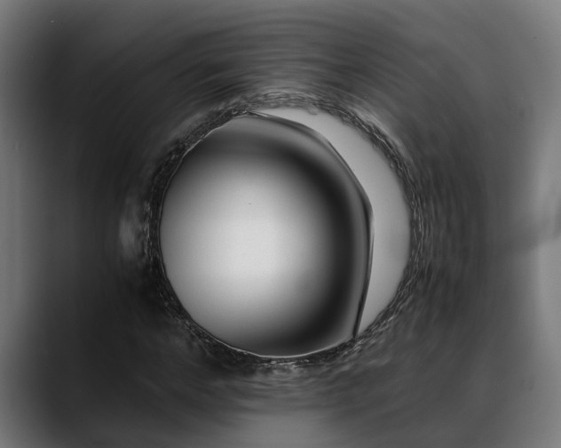 X0000088460968200705291527