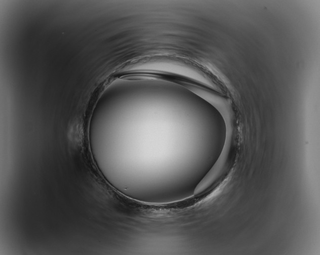 X0000088460969200705291527