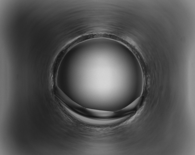 X0000088460973200705291527