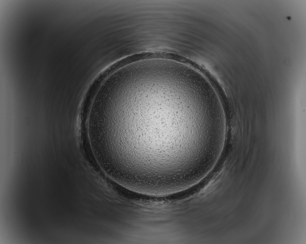 X0000088460975200705291527