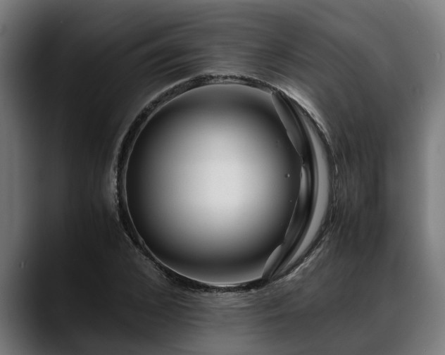 X0000088460976200705291527