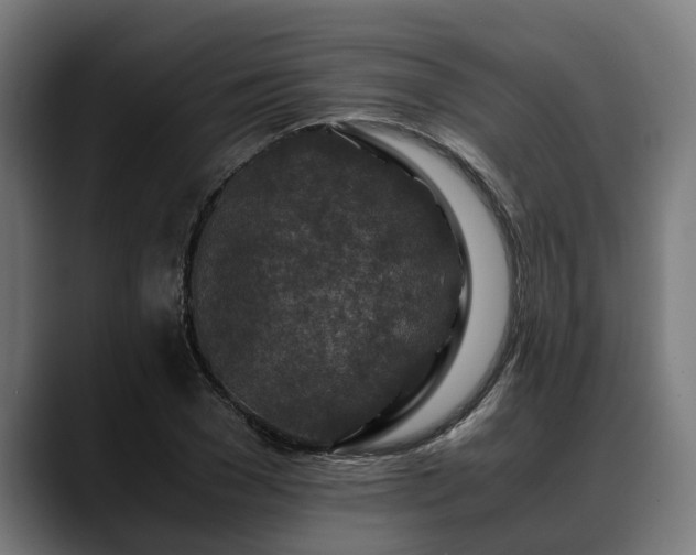 X0000088460977200705291527